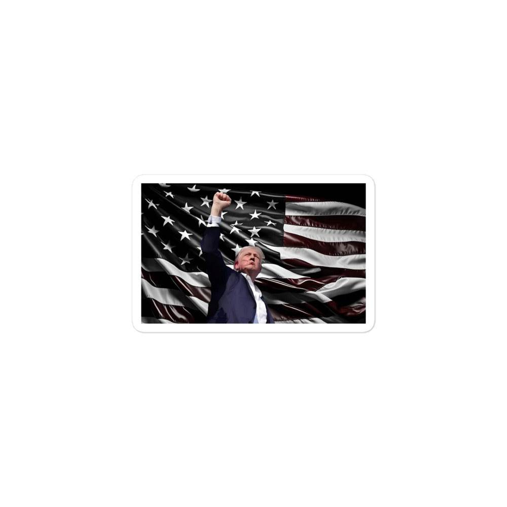 TRUMP'S STICKER - AureliaAdventure