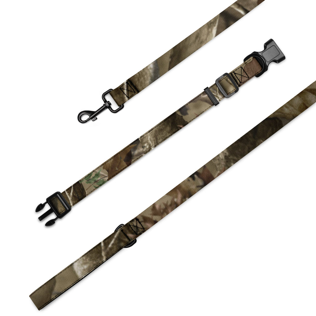 Pet collar & leash - AureliaAdventure
