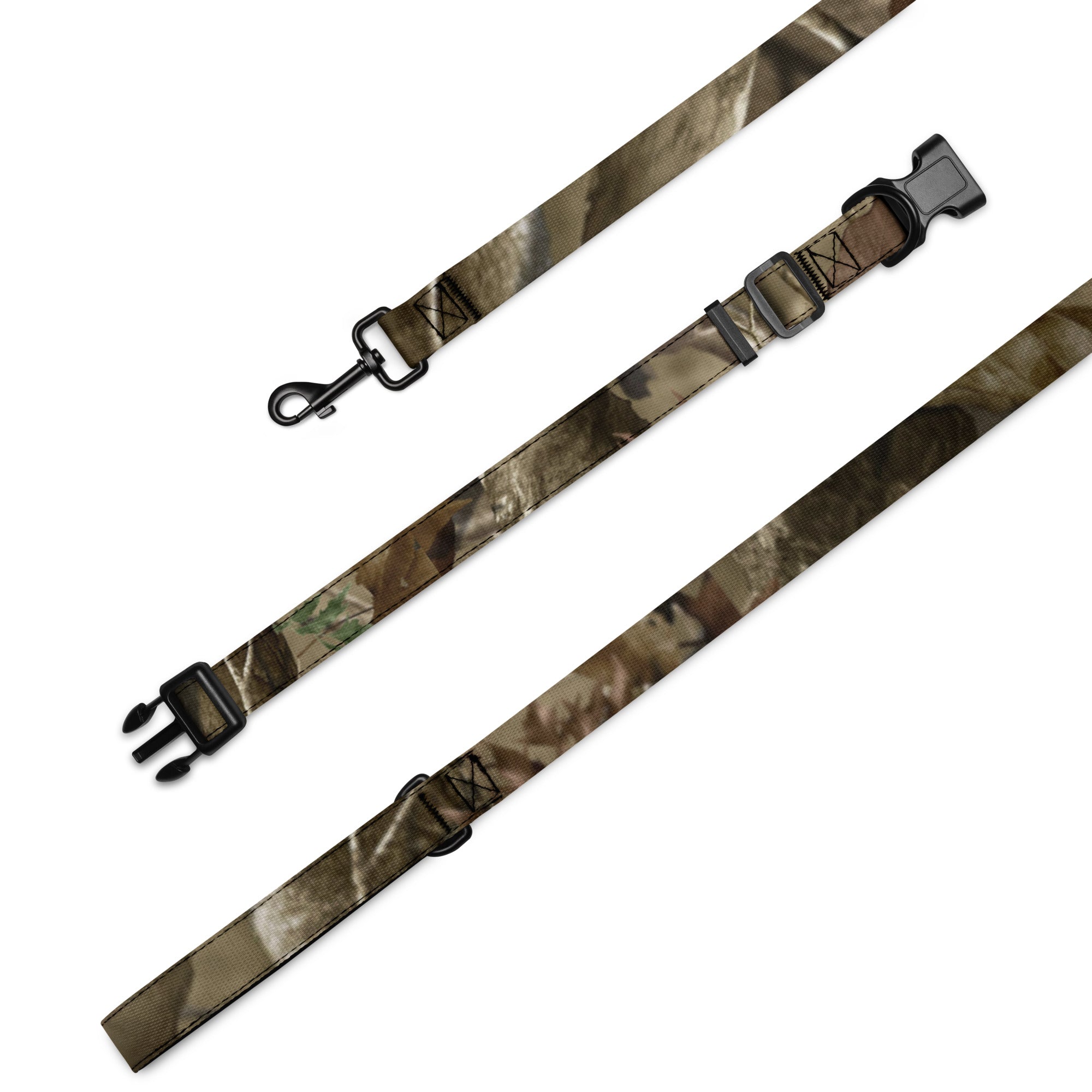 Pet collar & leash - AureliaAdventure